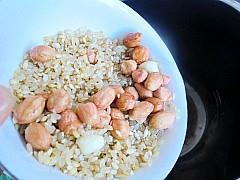 糙米花生豆浆的做法步骤3