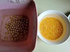 玉米豆浆的做法步骤2