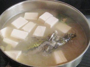 昂刺鱼炖豆腐的做法步骤6