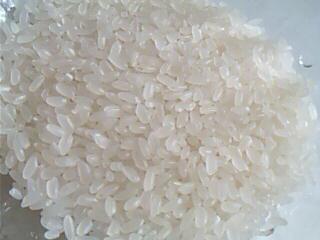 豆米养生粥的做法步骤4