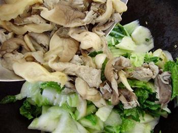 鲜蘑炒白菜的做法步骤6