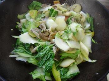 鲜蘑炒白菜的做法步骤8