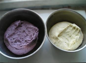 双色紫薯馒头结的做法步骤1