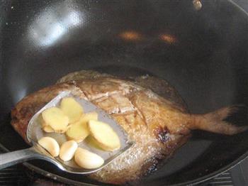 豆瓣酱烧鲳鱼的做法步骤4