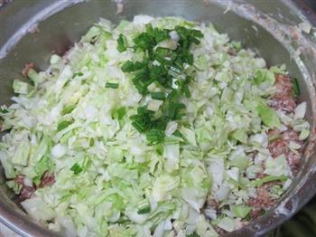 圆白菜鲜肉锅贴的做法步骤7