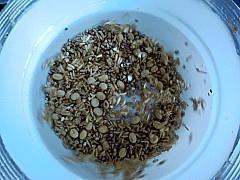 双麦豆浆的做法步骤2