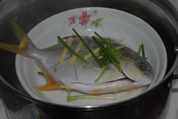 清蒸金鲳鱼的做法步骤3