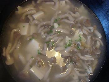 白玉菌菇蛤蜊汤的做法步骤4