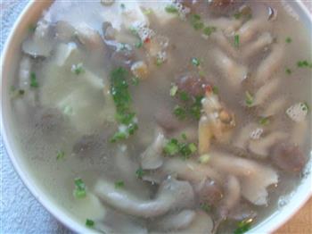 白玉菌菇蛤蜊汤的做法步骤5