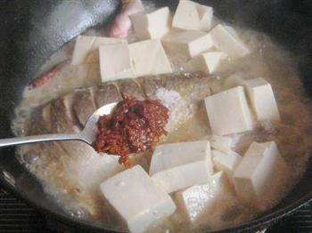 白鱼烧豆腐的做法图解7