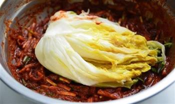 韩国辣白菜的做法步骤5
