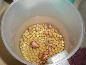 核桃花生豆浆的做法步骤1