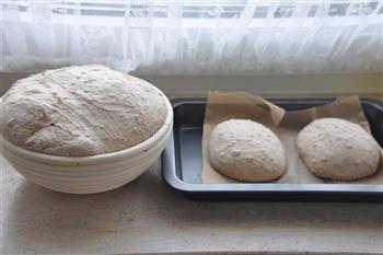 全麦混麦面包的做法步骤8
