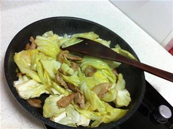 猪肉圆白菜炖粉条的做法步骤4