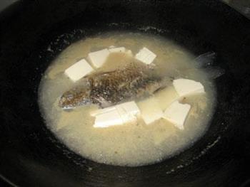 鲫鱼芫荽豆腐汤的做法图解6