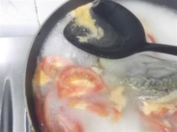 番茄鱼骨汤的做法步骤5