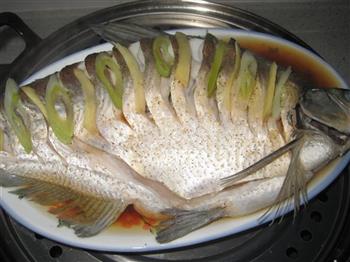 清蒸鳊鱼的做法步骤6