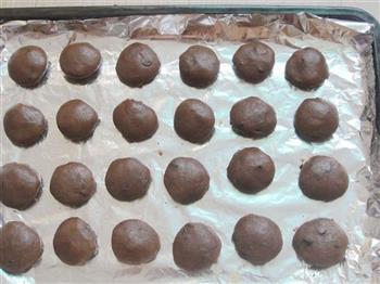 可可巧克力豆饼干的做法步骤8