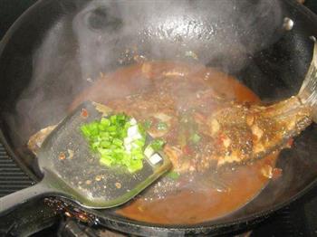红油豆瓣酱烧鳊鱼的做法步骤7