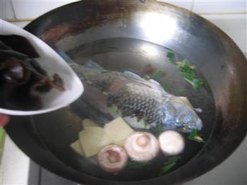 蘑菇鲫鱼汤的做法步骤5