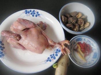 峨参香菇炖乳鸽的做法步骤1