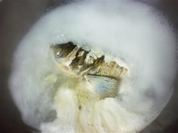 荠菜汤圆炖鱼头的做法步骤4