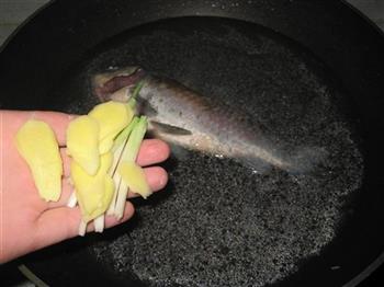 鲫鱼荠菜馄饨的做法步骤8