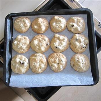 燕麦葡萄饼干的做法步骤9