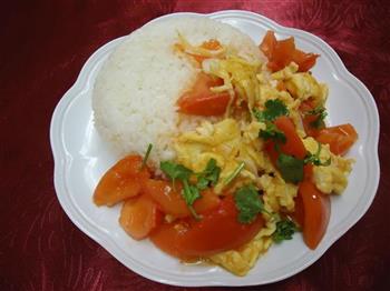 西红柿鸡蛋盖饭的做法步骤6