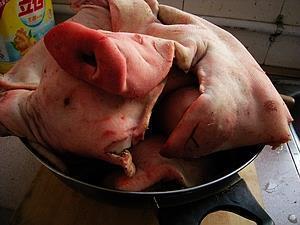 腊猪头肉的做法步骤1