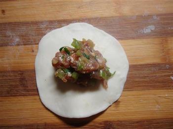 芹菜猪肉饺子的做法步骤12