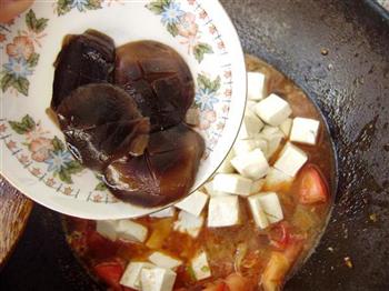 西红柿香菇烧豆腐的做法图解7
