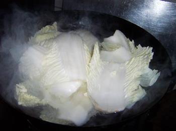 芥末鸡丝渍白菜的做法步骤6