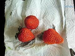 草莓糯米团的做法图解10