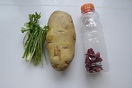 香菜炒土豆条的做法步骤1