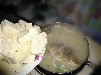 鲫鱼豆腐汤的做法步骤5