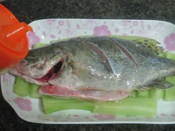 清蒸桂鱼的做法步骤5