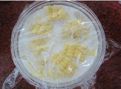 微波奶香玉米的做法步骤5