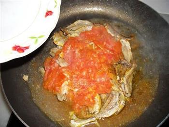 番茄焖小黄鱼的做法步骤11
