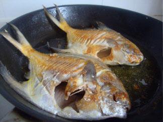 原味焖鲳鱼的做法步骤5