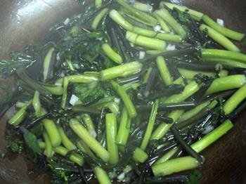 蒜茸红菜苔的做法步骤6