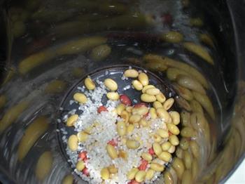 核桃花生豆浆的做法步骤8