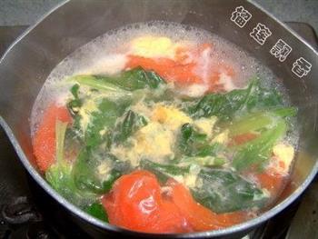 西红柿菠菜蛋花汤的做法步骤6