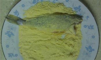 玉米面香煎黄花鱼的做法步骤4