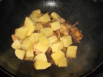 土豆烧鸡块的做法步骤8