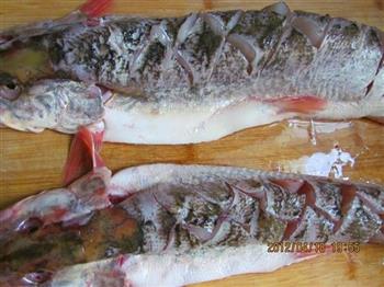 新疆大盘鱼的做法步骤3