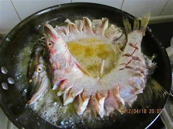 新疆大盘鱼的做法步骤4