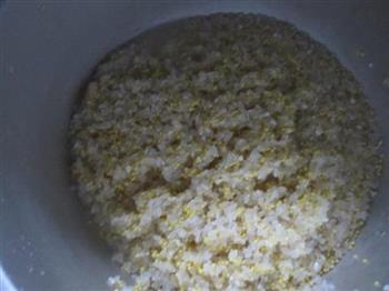 大黄米饭的做法步骤3