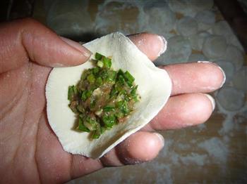 虾仁韭菜猪肉水饺的做法步骤6