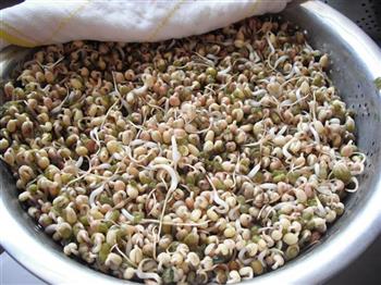 生发绿豆芽的做法步骤11